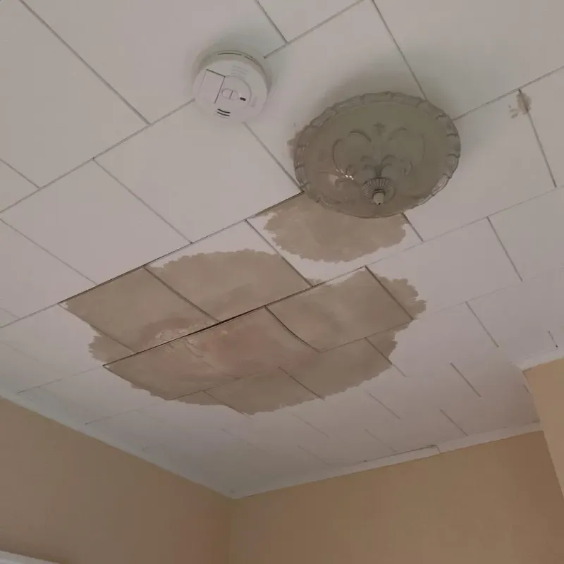 Ceiling Water Damage Repair in Graniteville, NY