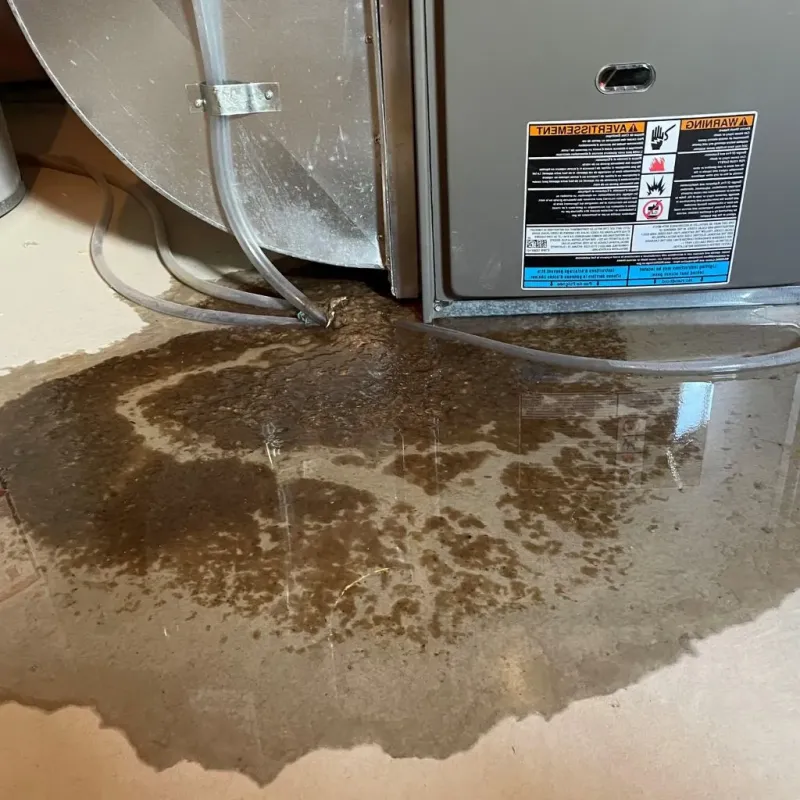 Pipe Burst and Leak Restoration in Graniteville, NY