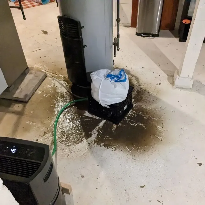 Sewage Backup Cleanup Service in Graniteville, NY